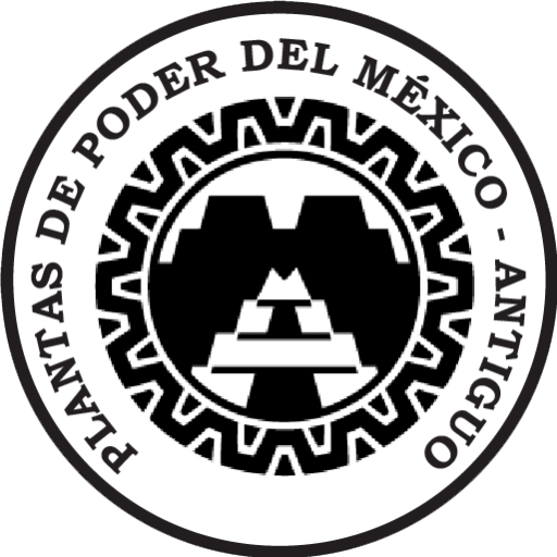 Fragancias del alma Esencias Florales Esencias Chamánicas del México Antiguo Dr Luis Manuel Solana y Sentíes