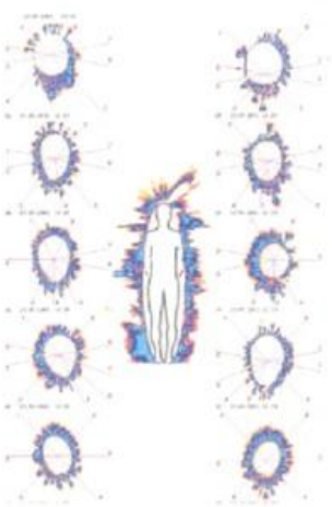 Esencias chamanicas dr Luis Solana y Senties fotografía kirlian hongo derrumbe 2