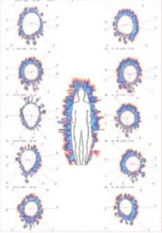 Esencias chamanicas dr Luis Solana y Senties fotografía kirlian hongo derrumbe