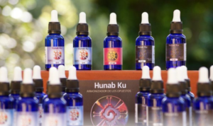 Hunab ku armonizador de los opuestos terapia floral Dr Luis Manuel Solana y Sentíes