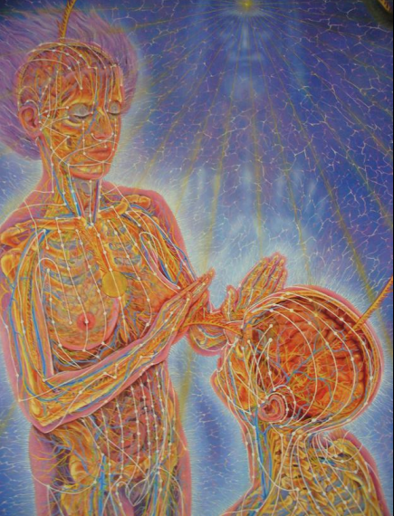 curso terapia floral Dr Luis Manuel Solana y Sentíes pintura de alex gray